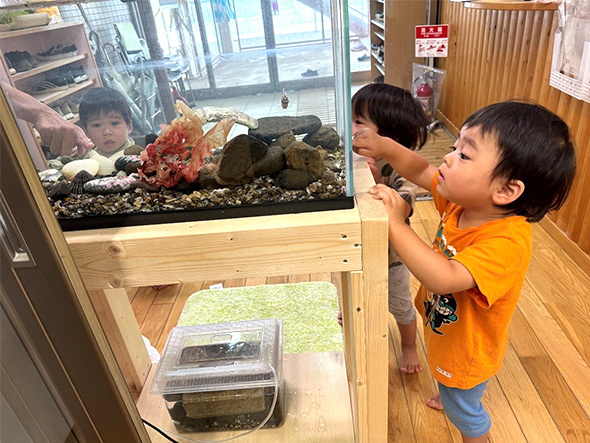 ������ݒu